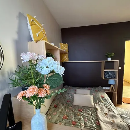 Appartement Belles Studettes Indépendantes Nancy