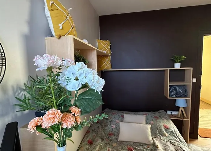 Apartman Belles Studettes Independantes Nancy